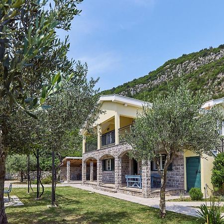 Villa Forest & Blue Kotor Exterior photo