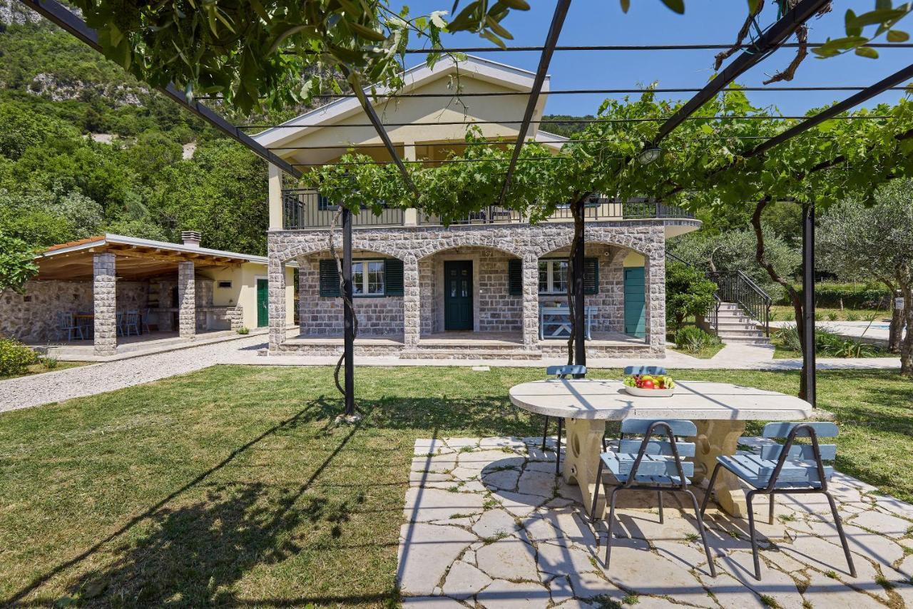 Villa Forest & Blue Kotor Exterior photo