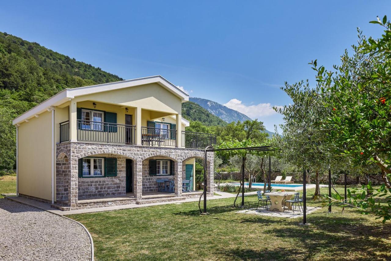 Villa Forest & Blue Kotor Exterior photo