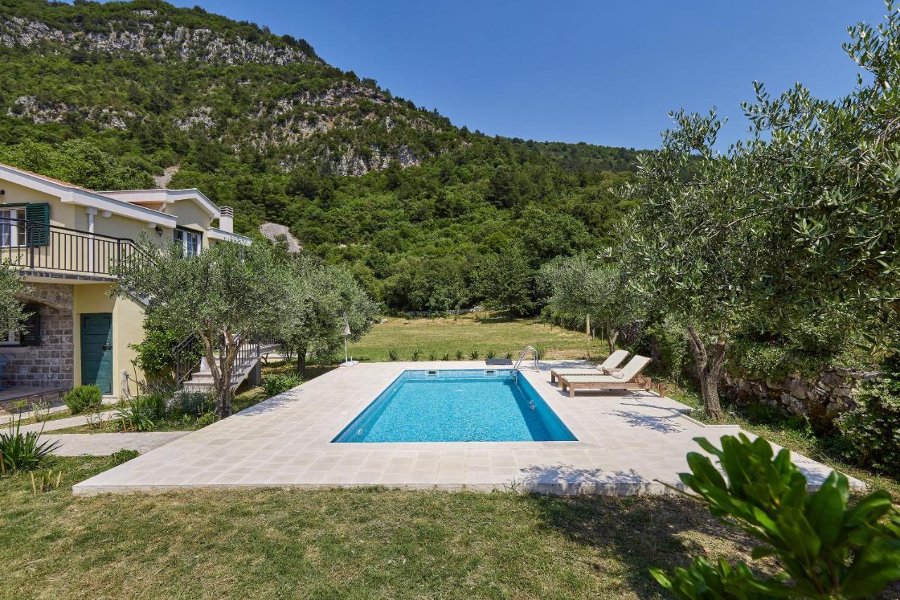 Villa Forest & Blue Kotor Exterior photo