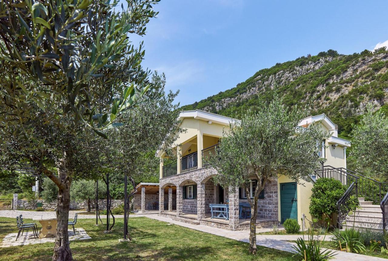 Villa Forest & Blue Kotor Exterior photo