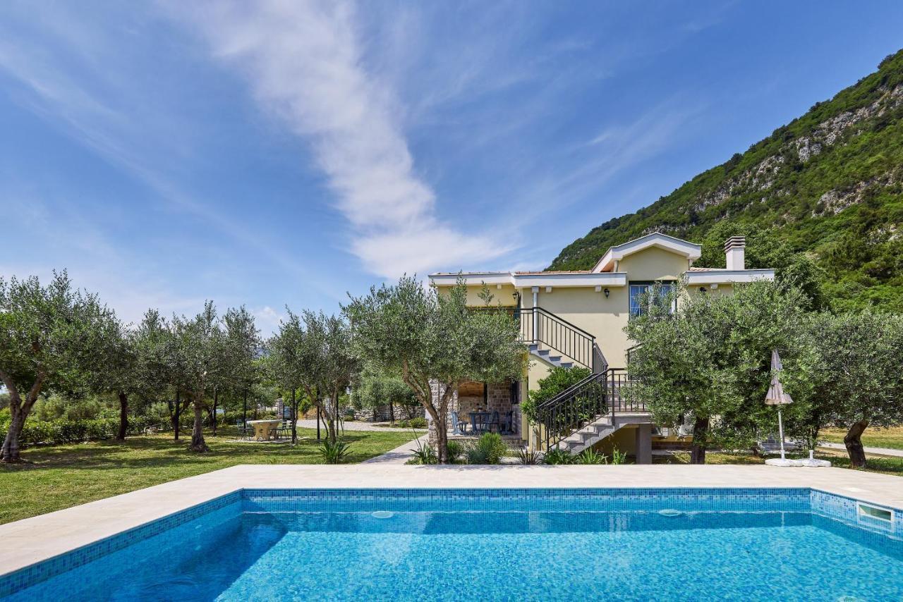 Villa Forest & Blue Kotor Exterior photo